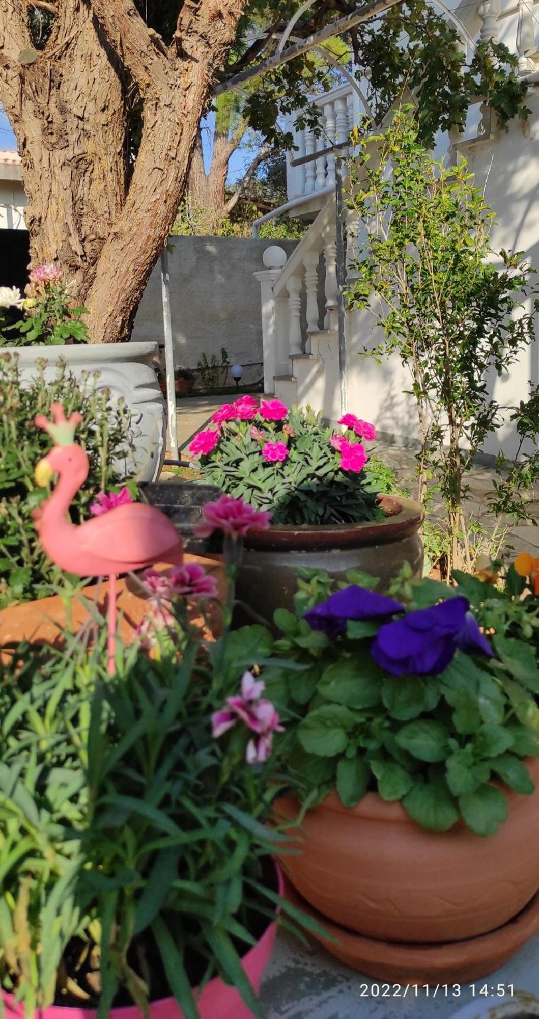 Best House, Secret Garden Home, Lagonisi, Attiki Melissourgoú Eksteriør billede